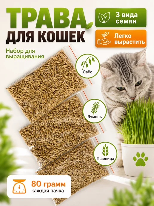 Золотые лапы Трава для кошек набор для выращивания, золотой, фото 2
