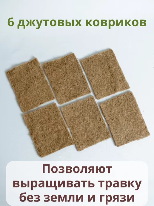 Золотые лапы Трава для кошек набор для выращивания, золотой, фото 4