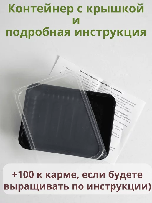Золотые лапы Трава для кошек набор для выращивания, золотой, фото 5