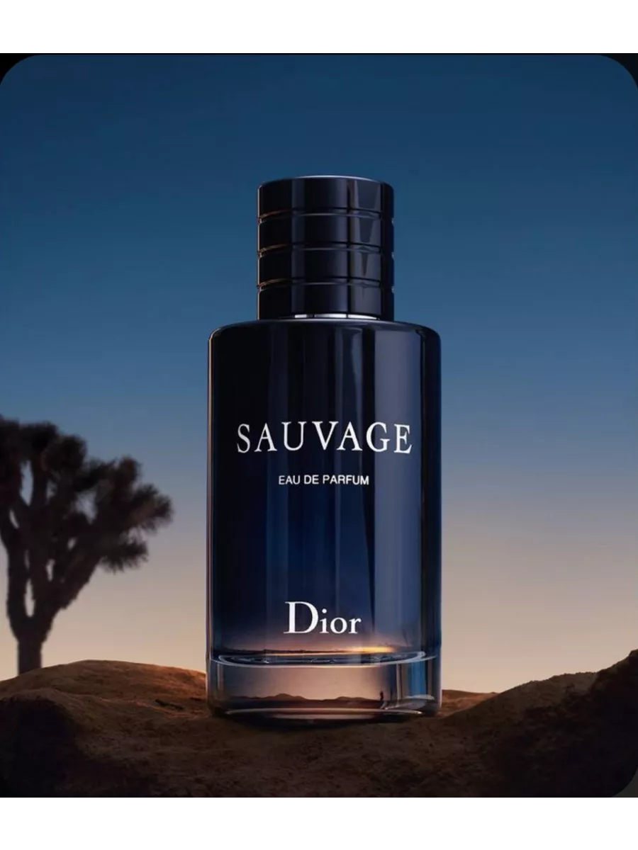 Sauvage eau de parfum 100ml price on sale