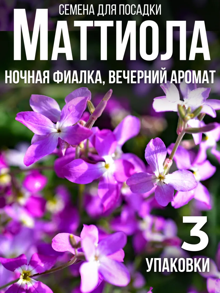 Маттиола семена 3 упаковки
