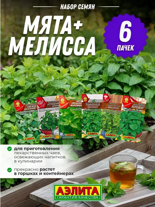 Агрофирма АЭЛИТА Семена мяты многолетней и мелиссы 6 шт, 6 шт