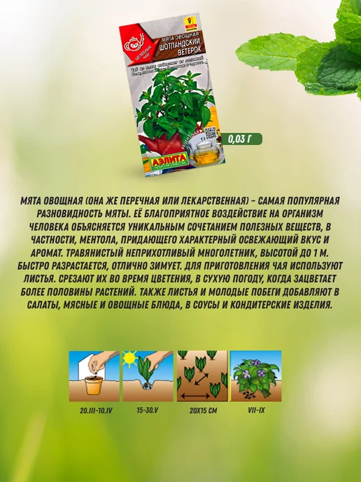 Агрофирма АЭЛИТА Семена мяты многолетней и мелиссы 6 шт, 6 шт, фото 3