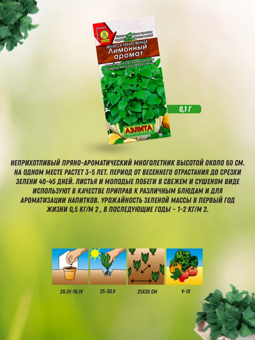 Агрофирма АЭЛИТА Семена мяты многолетней и мелиссы 6 шт, 6 шт, фото 8