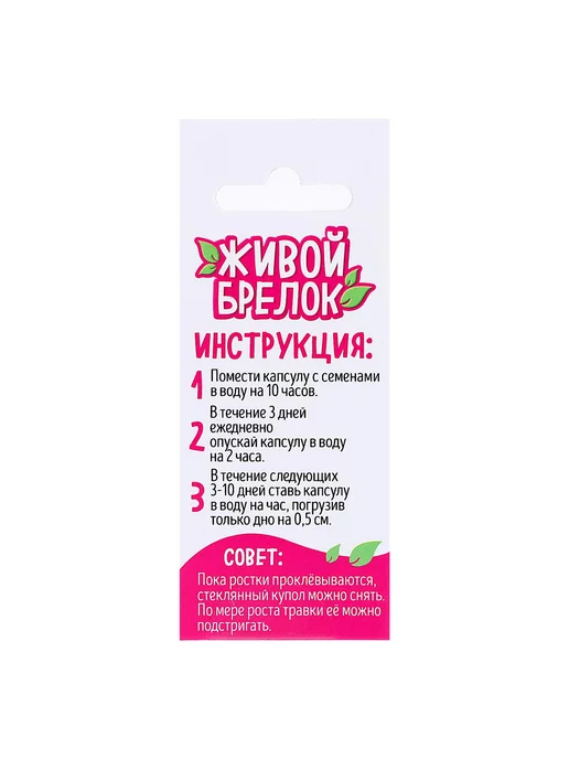 -Лучшее-детям- Набор для опытов Живой брелок, вариант, фото 2