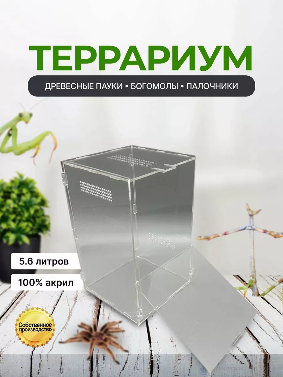 Террариум 25*15*15 для пауков...