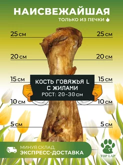 Кость лакомство для собак с жилами и хрящами Top Lap 206929966 купить за 292 ₽ в интернет-магазине Wildberries