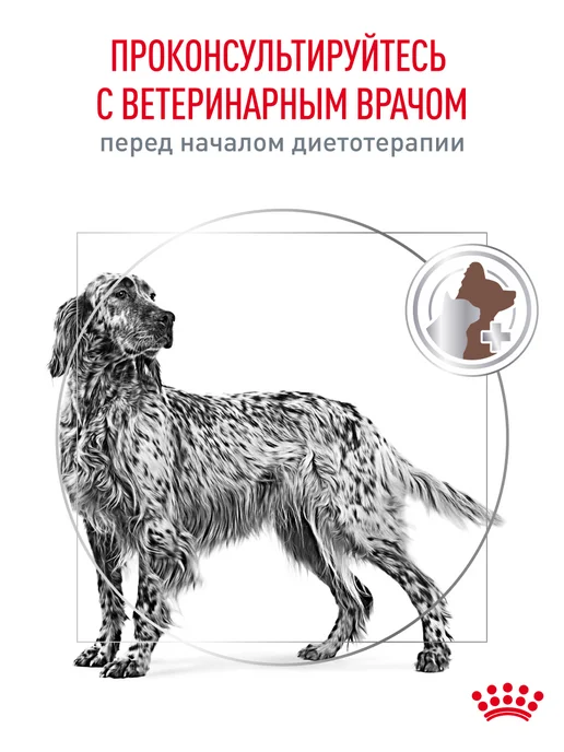 Сухой корм Royal canin Пищеварения Gastrointestinal для собак, 15 кг, фото 8