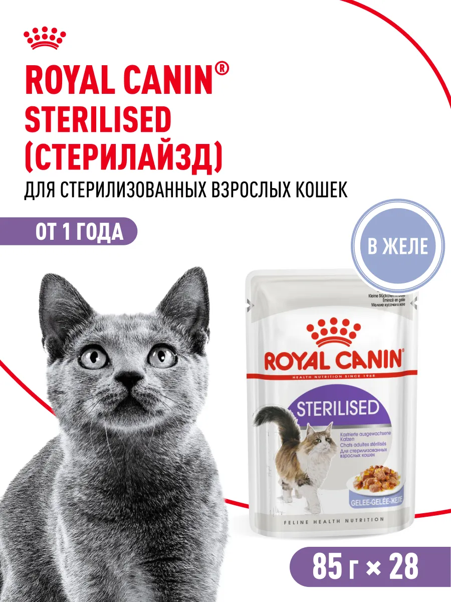 Влажный корм для...