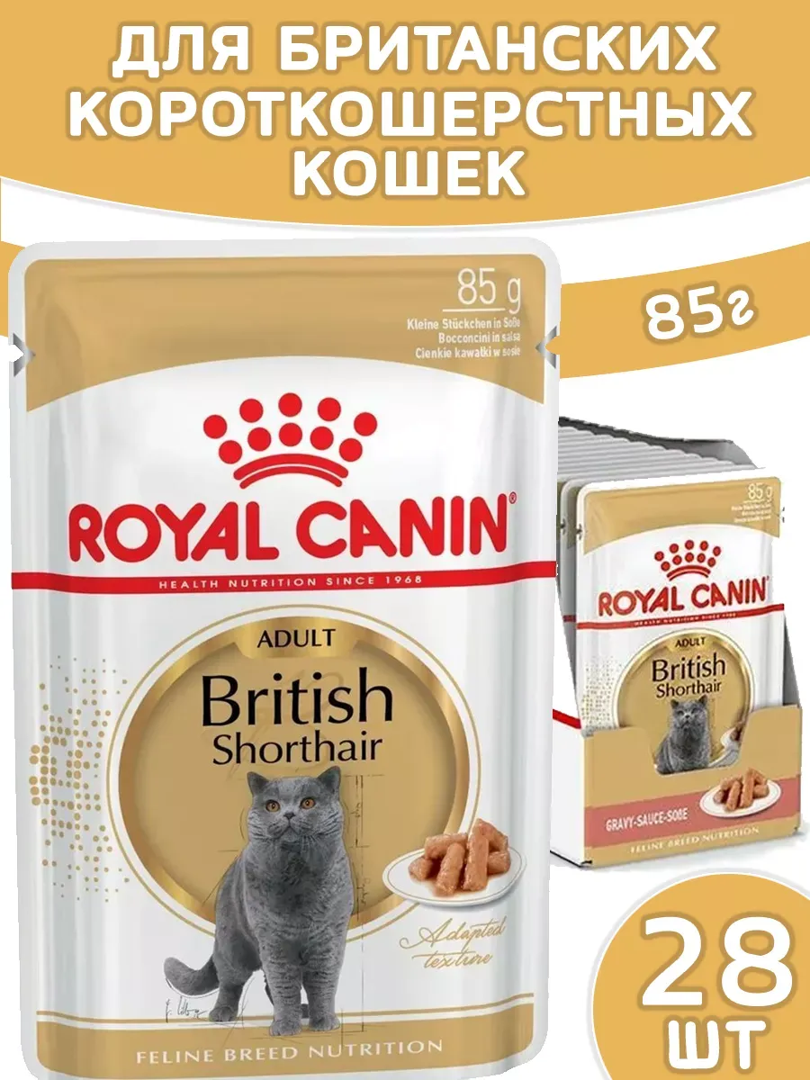 Royal Canin Maine Coon 2 Кг Купить