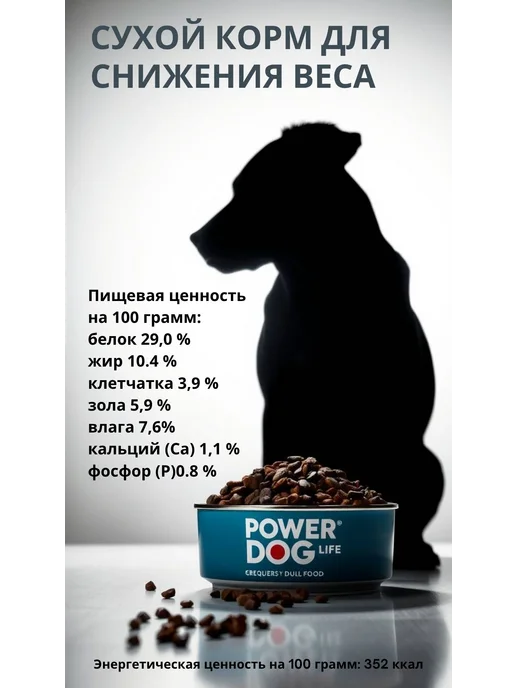 Сухой корм PowerDogLife Кг. Коррекция для собак, крупные, 0,8 кг, фото 2