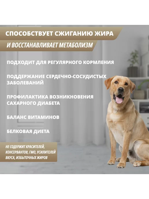 Сухой корм PowerDogLife Кг. Коррекция для собак, крупные, 0,8 кг, фото 5