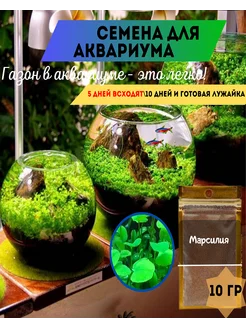 Семена растений для аквариума Марсилия 207275249 купить за 428 ₽ в интернет-магазине Wildberries