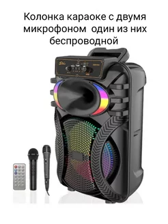 Портативная колонка с караоке Bluetooth ZQS 207313059 купить за 1 834 ₽ в интернет-магазине Wildberries