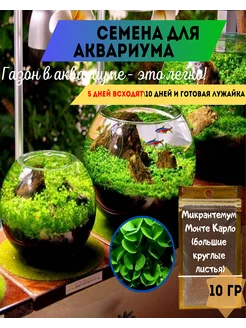 Семена растений для аквариума. Монте-Карло. 207405647 купить за 345 ₽ в интернет-магазине Wildberries