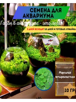 Семена растений для аквариума. Марсилия четырехлистная. 207406476 купить за 591 ₽ в интернет-магазине Wildberries