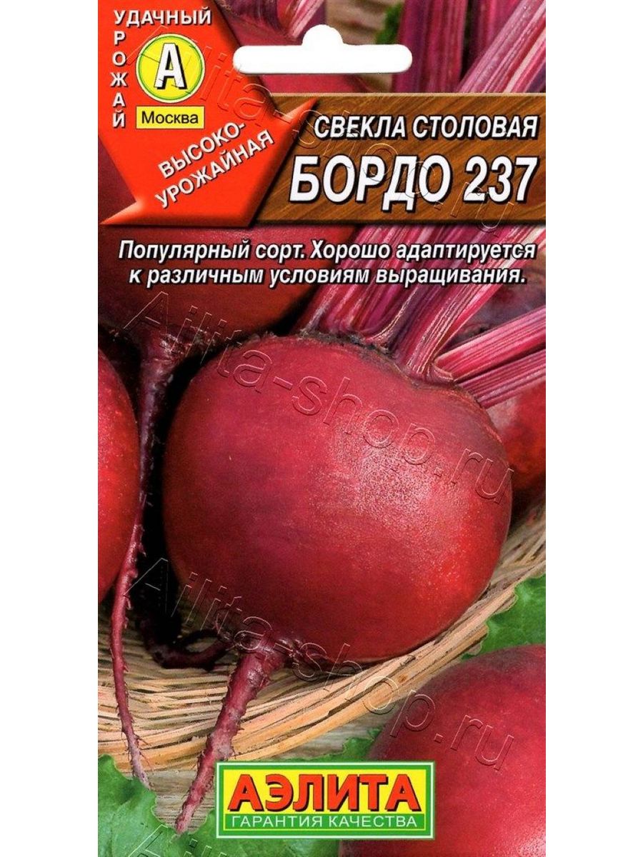 Свекла бордо 237 описание сорта. Свекла бордо 237. Свекла столовая бордо. Свекла бордо. Свекла бордо 237 (3 г) Семко.