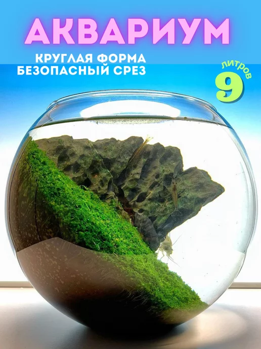 ZooAqua Аквариум круглый для рыбок, петушка, 4 л стекло, 9 л