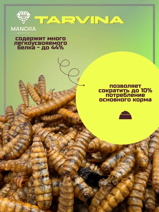 MANGRA exotic Личинки черной львинки сухой корм для рептилий 250 мл, 1 л, фото 2
