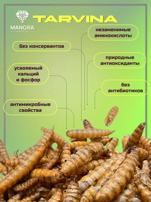 MANGRA exotic Личинки черной львинки сухой корм для рептилий 250 мл, 1 л, фото 3