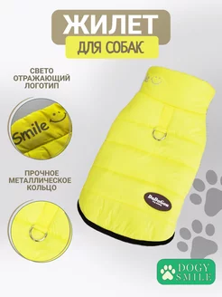 Жилет для собак Dogy Smile 207554342 купить за 726 ₽ в интернет-магазине Wildberries