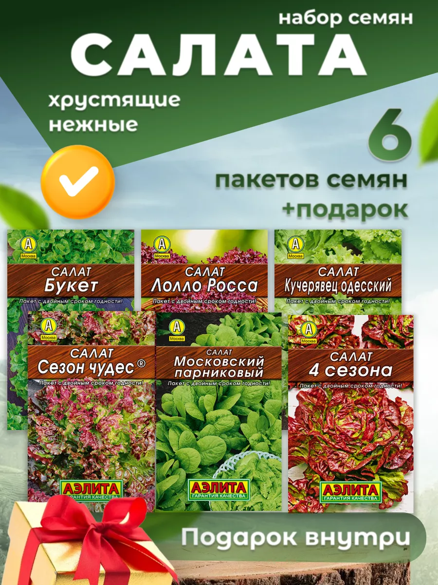 Салат семена набор 6 шт