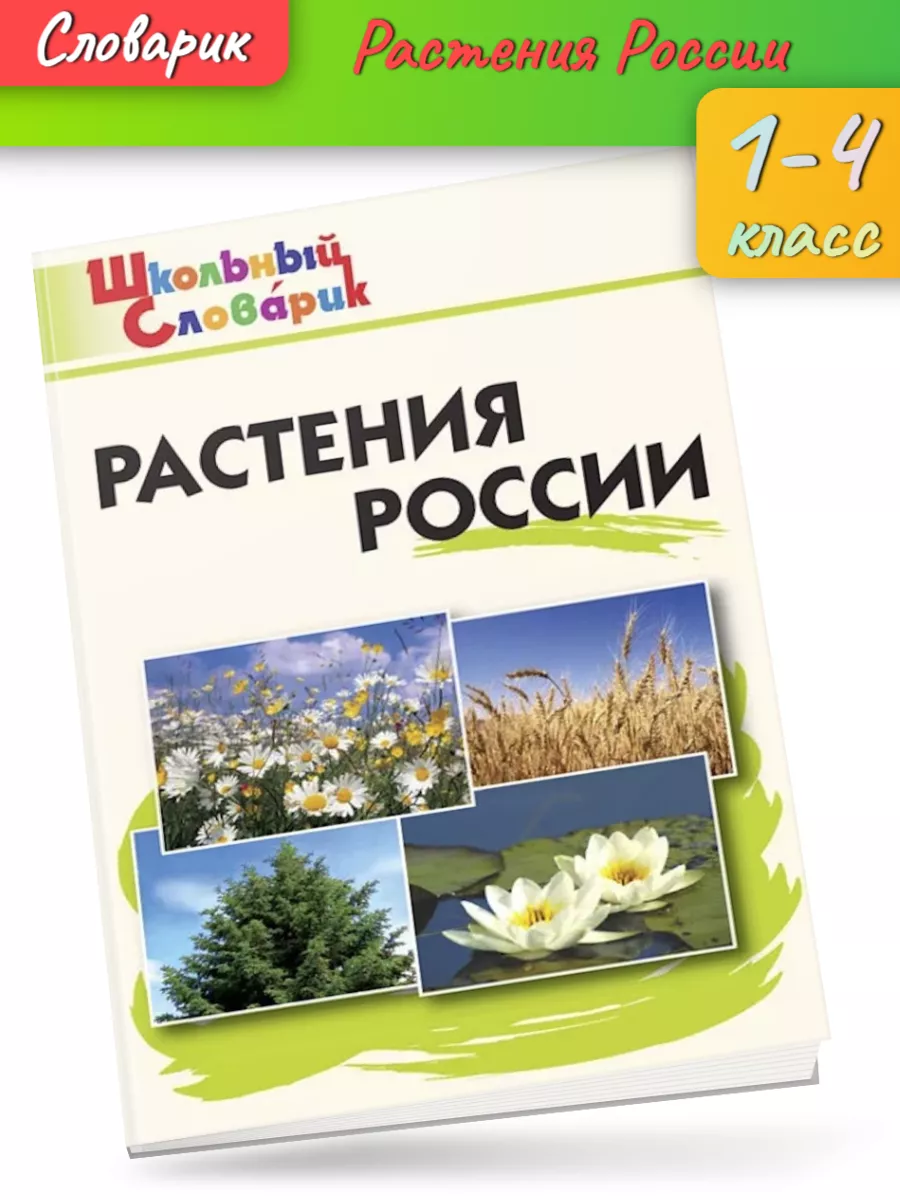 ШС Растения России / Васильева Издательство ВАКО 207609743 купить за 240 ₽  в интернет-магазине Wildberries