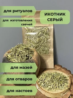 Икотник серый трава (травяные сборы) Мастерская Марины Дрываль 207624093 купить за 81 ₽ в интернет-магазине Wildberries