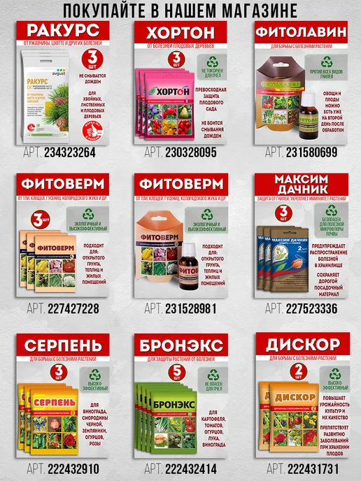 УРОЖАЙ УДАЧИ Кинза семена (кориандр) Янтарь, вариант, фото 4