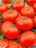 Семена томата Помидор Пинквин F1 САДЫ РОССИИ 280460367 купить за 218 ₽ в интернет‑магазине Wildberries