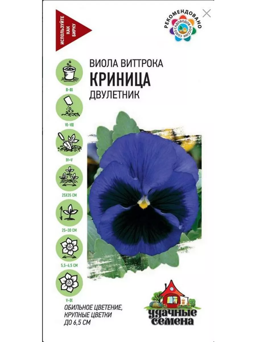 Семена Виолы Купить В Интернет Магазине