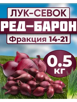 Лук севок для посадки Ред барон 0.5кг Лук-Севок 207820003 купить за 341 ₽ в интернет-магазине Wildberries