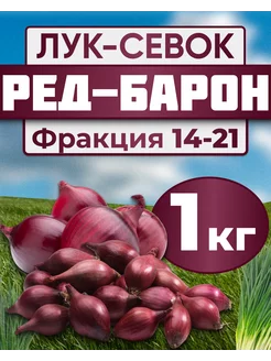 Лук севок для посадки Ред барон 1кг Лук-Севок 207820004 купить за 513 ₽ в интернет-магазине Wildberries