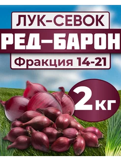 Лук севок для посадки Ред барон 2кг Лук-Севок 207820005 купить за 750 ₽ в интернет-магазине Wildberries