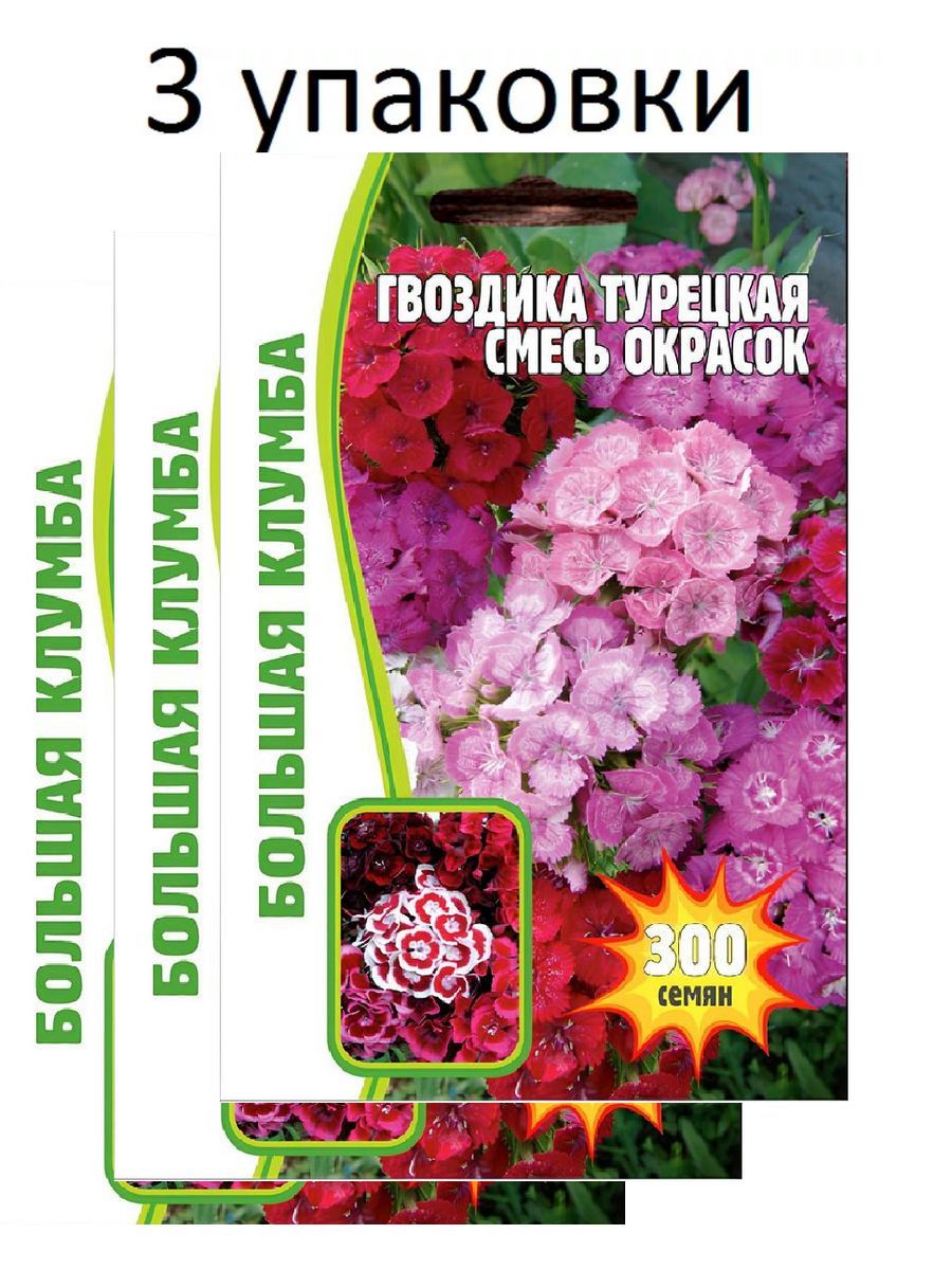 Гвоздика турецкая смесь. Гвоздика турецкая смесь 500шт (ред.сем). Гвоздика турецкая смесь окрасок. Гвоздика турецкая смесь окрасок семена. Гвоздикатурецкая смесь окрасов.