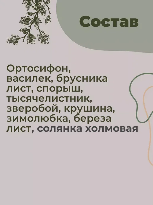 Магазин трав Земляника Почечный чай травяной сбор на травах с ортосифоном для почек, вариант, фото 4