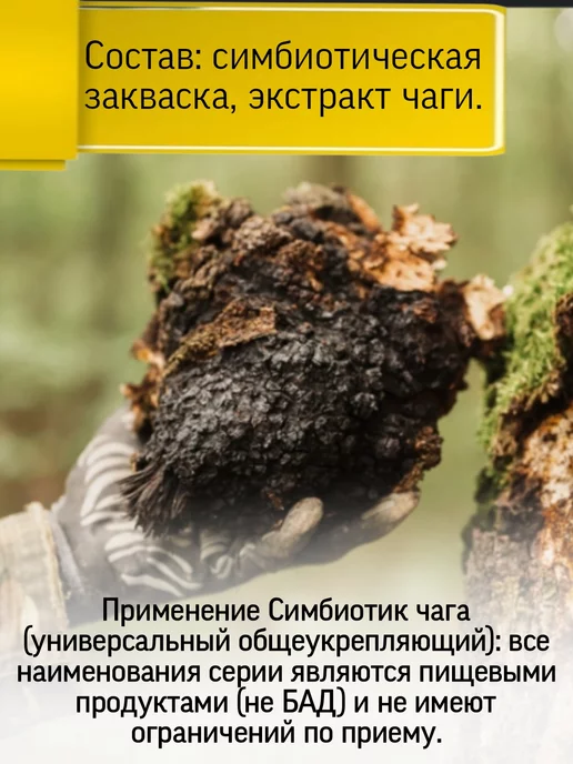 Родник Здоровья Симбиотик Майтаке для омоложение организма, вариант, фото 2