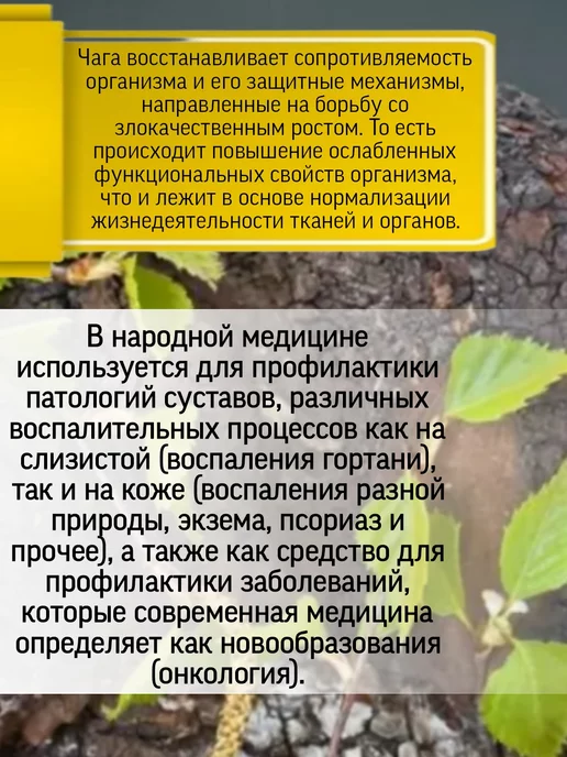 Родник Здоровья Симбиотик Майтаке для омоложение организма, вариант, фото 3
