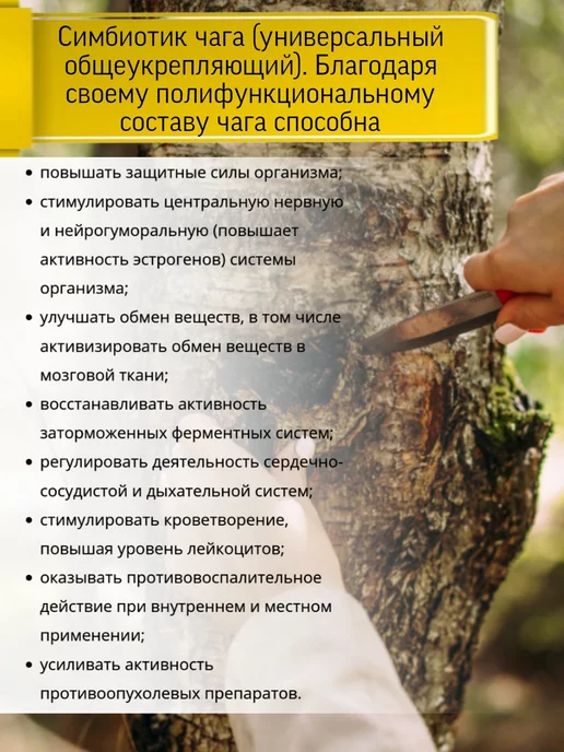 Родник Здоровья Симбиотик Майтаке для омоложение организма, вариант, фото 4