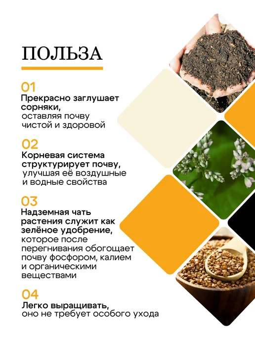 Природа Мёда Гречиха семена сидерат медонос 1 кг, урожай 2025 года, 3 кг, фото 2