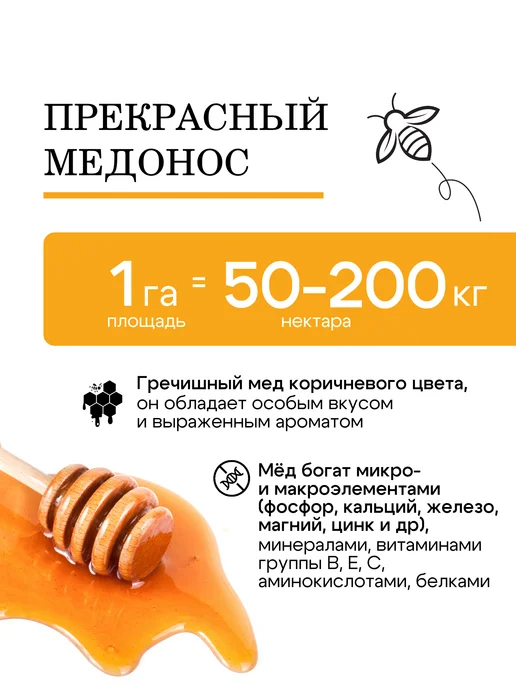 Природа Мёда Гречиха семена сидерат медонос 1 кг, урожай 2025 года, 3 кг, фото 3