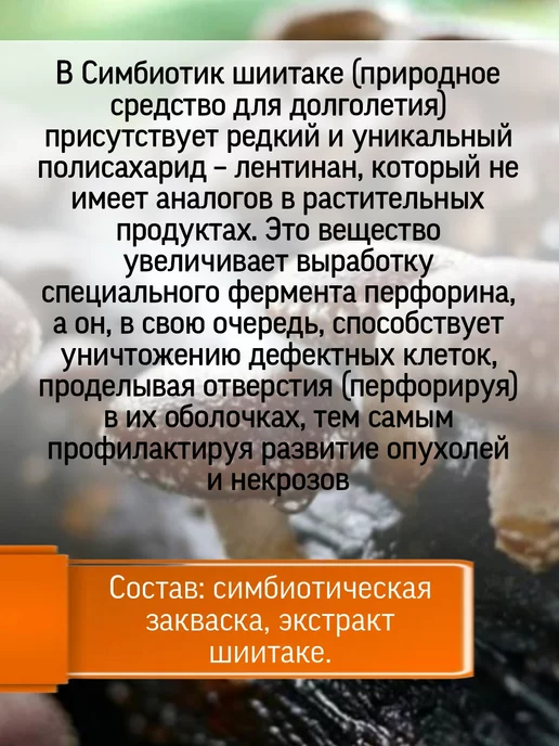 Родник Здоровья Симбиотик Шиитаке для сердца и сосудов, вариант, фото 2