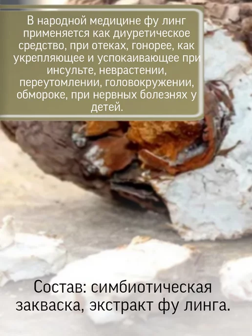 Родник Здоровья Симбиотик ФУ ЛИНГ для почек, вариант, фото 2