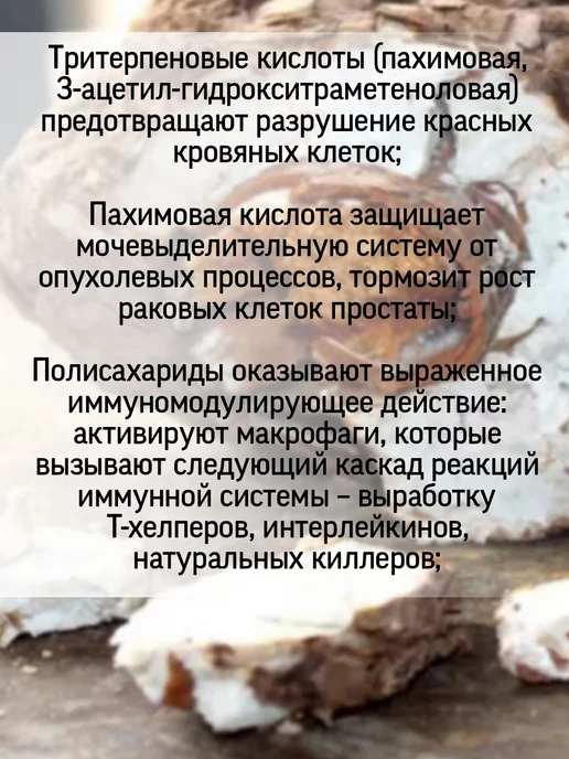 Родник Здоровья Симбиотик ФУ ЛИНГ для почек, вариант, фото 3