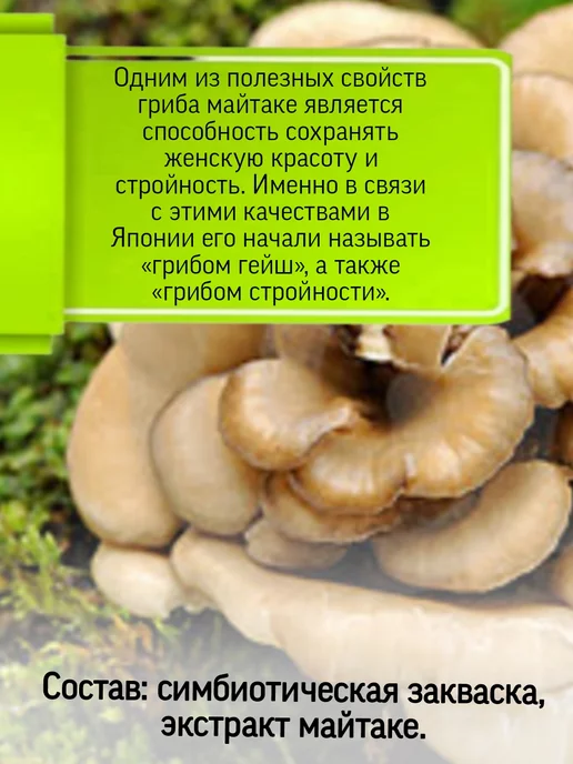Родник Здоровья Симбиотик Майтаке для омоложение организма, вариант, фото 2