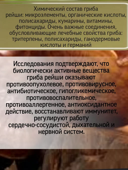 Родник Здоровья Симбиотик РЕЙШИ для пищеварения, вариант, фото 2