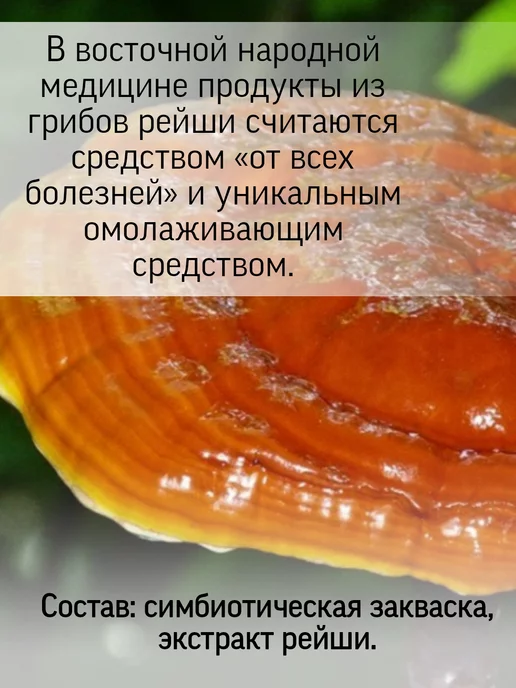 Родник Здоровья Симбиотик РЕЙШИ для пищеварения, вариант, фото 3
