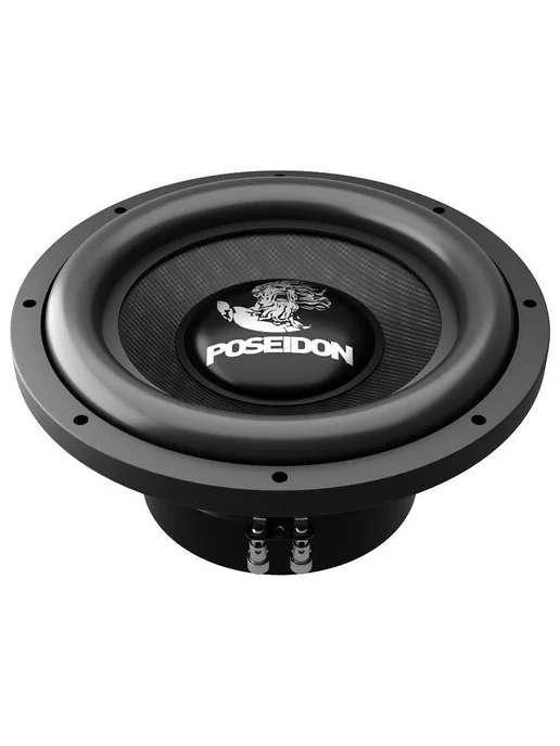 Prology Сабвуфер PS-10 Poseidon в машину 10 дюймов (25 см), вариант, фото 2