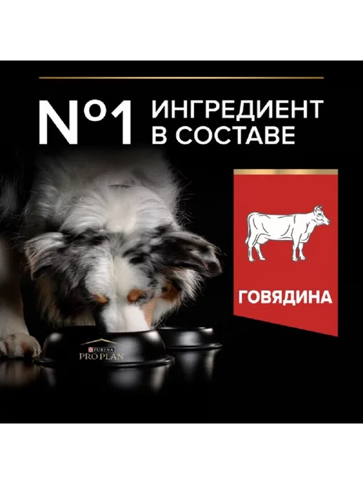 Сухой корм PRO PLAN Duo Delicе для собак, крупные, средние, говядина, 10 кг, фото 5