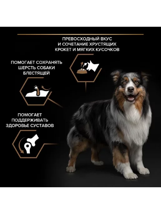 Сухой корм PRO PLAN Duo Delicе для собак, крупные, средние, говядина, 10 кг, фото 6